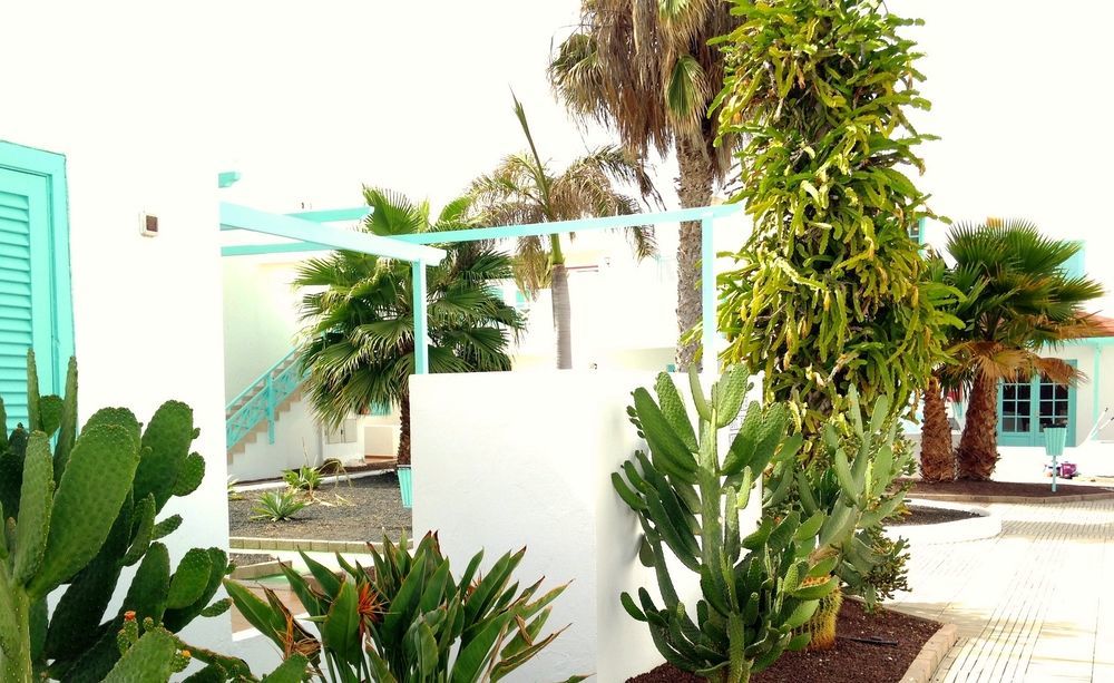 Smy Tahona Fuerteventura Ξενοδοχείο Caleta De Fuste Εξωτερικό φωτογραφία